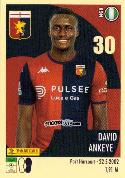 Sticker David Ankeye - Calciatori 2024-2025 n. 184 - Panini