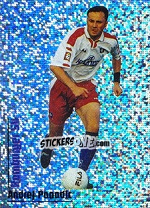 Sticker Andrej Panadic - German Fussball Bundesliga 1998-1999 - Panini