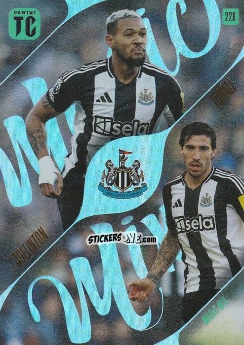 Figurina Joelinton / Sandro Tonali - Premier League Top Class 2025
 n. 228 - Panini