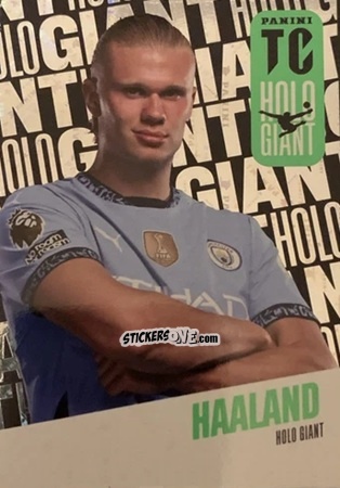 Sticker Erling Haaland - Premier League Top Class 2025
 n. HG8 - Panini