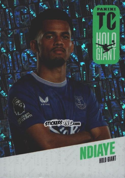 Figurina Iliman Ndiaye - Premier League Top Class 2025
 n. HG10 - Panini