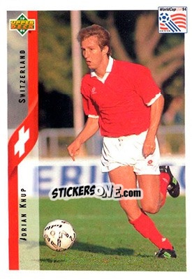Cromo Adrian Knup - World Cup USA 1994. Contenders English/Spanish n. 126 - Upper Deck