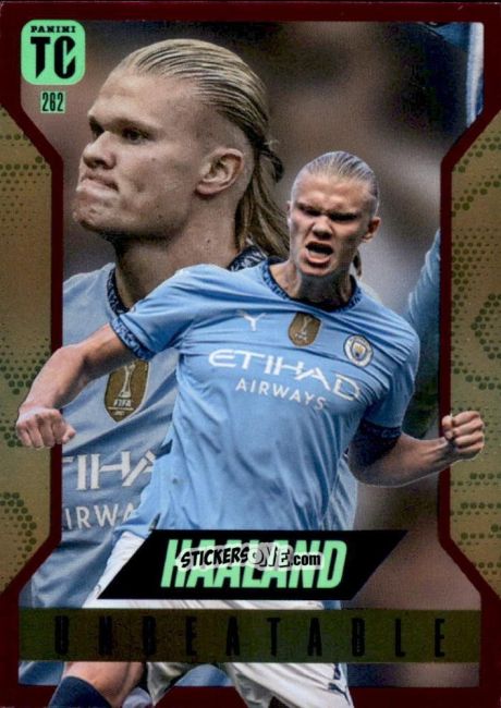 Cromo Erling Haaland - FIFA Top Class 2025
 n. 262rp - Panini