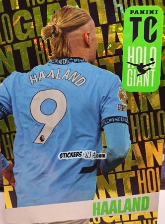 Sticker Erling Haaland - FIFA Top Class 2025
 n. HG5 - Panini