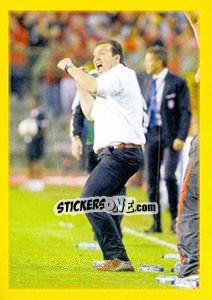 Sticker Marc Wilmots - Belgian Red Devils 2014 n. 43 - Panini