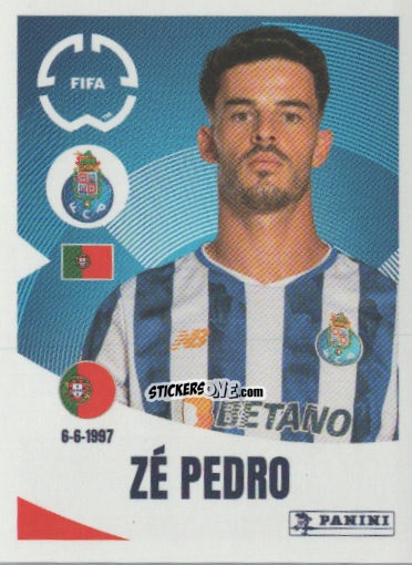 Cromo Zé Pedro