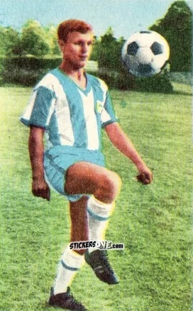 Cromo Lothar Groß - Die neue Bundesliga 1964-1965
 n. 8 - Sicker-Verlag