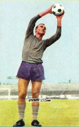 Cromo Horst Wolter - Die neue Bundesliga 1964-1965
 n. 20 - Sicker-Verlag