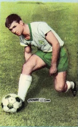 Cromo Josef Piontek - Die neue Bundesliga 1964-1965
 n. 37 - Sicker-Verlag