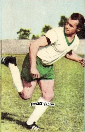 Cromo Helmut Schimeczek - Die neue Bundesliga 1964-1965
 n. 41 - Sicker-Verlag