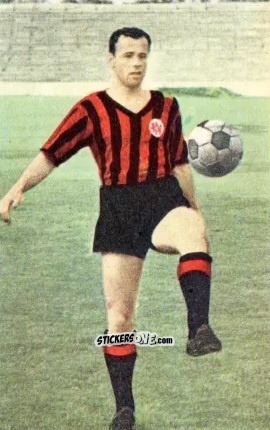 Cromo Erwin Stein