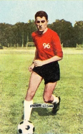 Cromo Winfried Mittrowski - Die neue Bundesliga 1964-1965
 n. 135 - Sicker-Verlag