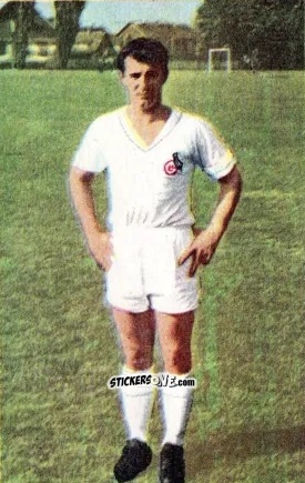 Sticker Hans Schäfer - Die neue Bundesliga 1964-1965
 n. 188 - Sicker-Verlag