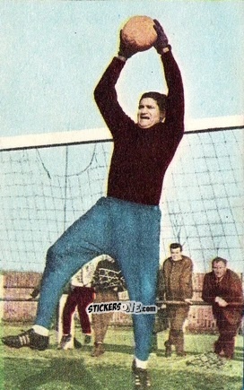 Cromo Petar Radenković - Die neue Bundesliga 1964-1965
 n. 195 - Sicker-Verlag