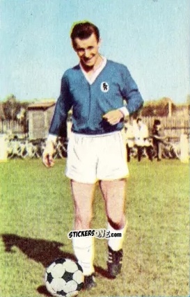 Cromo Engelbert Kraus - Die neue Bundesliga 1964-1965
 n. 203 - Sicker-Verlag