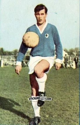 Cromo Alfred Heiss - Die neue Bundesliga 1964-1965
 n. 208 - Sicker-Verlag