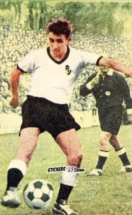 Cromo Karl Ringel