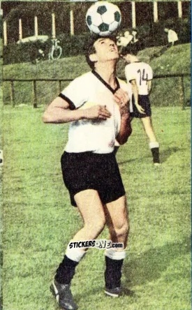 Cromo Horst Berg