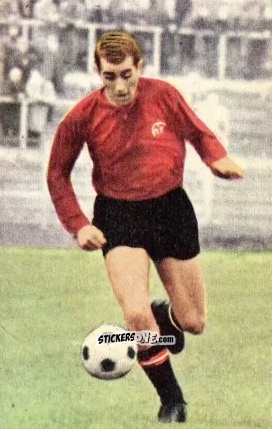 Cromo Tasso Wild - Die neue Bundesliga 1964-1965
 n. 238 - Sicker-Verlag