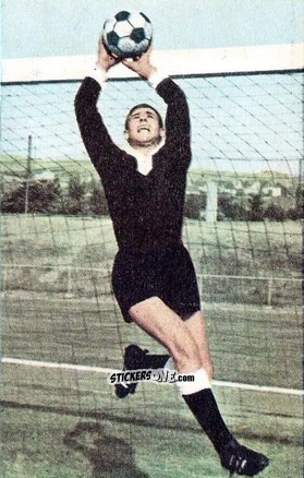 Cromo Werner Pfeifer - Die neue Bundesliga 1964-1965
 n. 244 - Sicker-Verlag