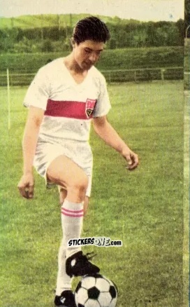 Sticker Eberhard Pfisterer - Die neue Bundesliga 1964-1965
 n. 249 - Sicker-Verlag
