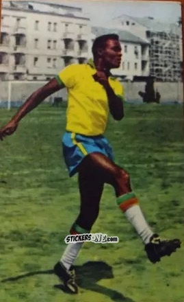 Cromo Zomo Alves