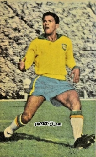 Cromo Garrincha