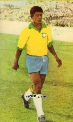 Cromo Amarildo Tavares da Silveira