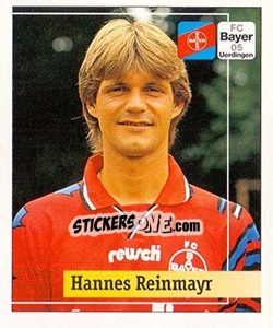 Cromo Hannes Reinmayer - German Football Bundesliga 1994-1995. Final phase - Panini