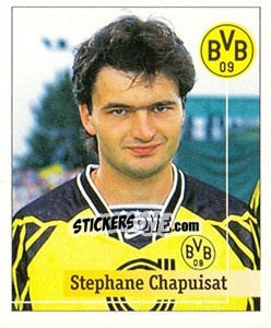 Cromo Stephane Chapuisat