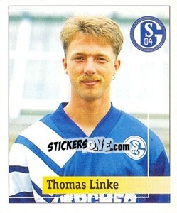 Cromo Thomas Linke - German Football Bundesliga 1994-1995. Final phase - Panini