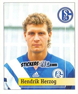 Cromo Hendrik Herzog - German Football Bundesliga 1994-1995. Final phase - Panini