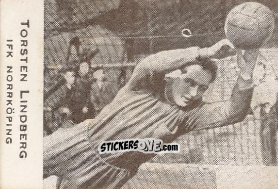Sticker Torsten Lindberg - Allsvenskan 1950-1951 n. 138 - Alifabolaget
