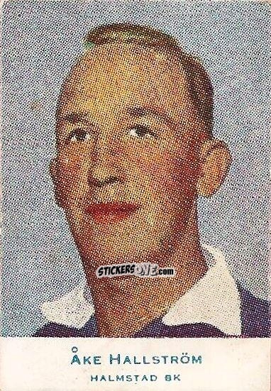 Figurina Åke Hallström