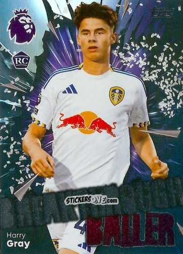 Figurina Harry Gray