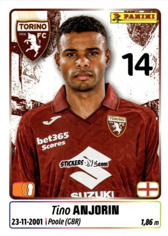 Figurina Tino Anjorin - Calciatori 2025-2026 n. 453 - Panini