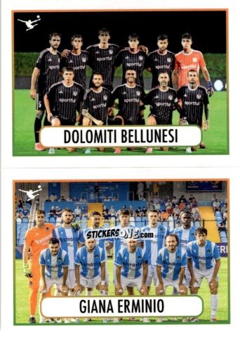 Figurina Dolomiti / Giana Erminio (Squadra) - Calciatori 2025-2026 n. 578 - Panini