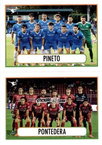 Figurina Pineto / Pontedera (Squadra) - Calciatori 2025-2026 n. 599 - Panini