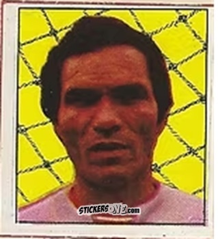 Cromo Manga - Campeonato Nacional 76
 n. 13 - Editora e Impressora Graf Set Ltda