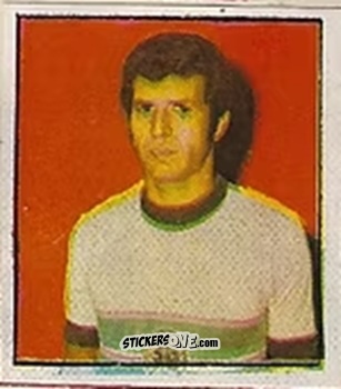 Sticker Nene - Campeonato Nacional 76
 n. 42 - Editora e Impressora Graf Set Ltda