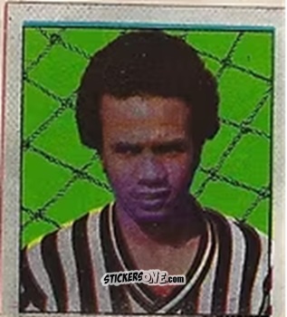 Cromo Silivinho