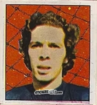 Sticker Leao - Campeonato Nacional 76
 n. 145 - Editora e Impressora Graf Set Ltda
