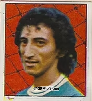 Sticker Rosemiro - Campeonato Nacional 76
 n. 146 - Editora e Impressora Graf Set Ltda
