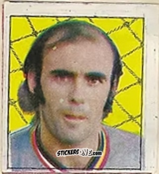 Sticker Waldir Peres - Campeonato Nacional 76
 n. 181 - Editora e Impressora Graf Set Ltda
