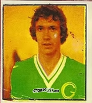 Cromo Nelson - Campeonato Nacional 76
 n. 256 - Editora e Impressora Graf Set Ltda