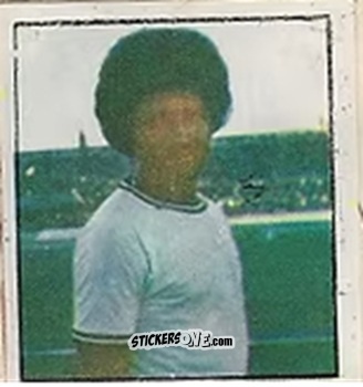 Cromo Pedro Basilio - Campeonato Nacional 76
 n. 337 - Editora e Impressora Graf Set Ltda