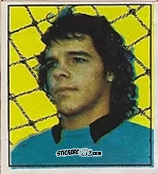 Cromo Paulo Sergio - Campeonato Nacional 76
 n. 361 - Editora e Impressora Graf Set Ltda