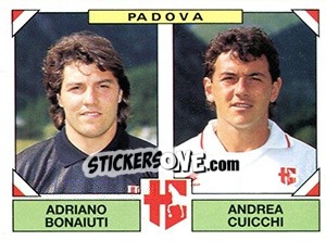 Sticker Adriano Bonaiuti / Andrea Cuicchi - Calciatori 1993-1994 n. 493 - Panini