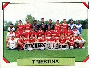 Cromo Squadra (Triestina) - Calciatori 1993-1994 - Panini