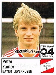Cromo Peter Zanter - German Football Bundesliga 1986-1987 - Panini